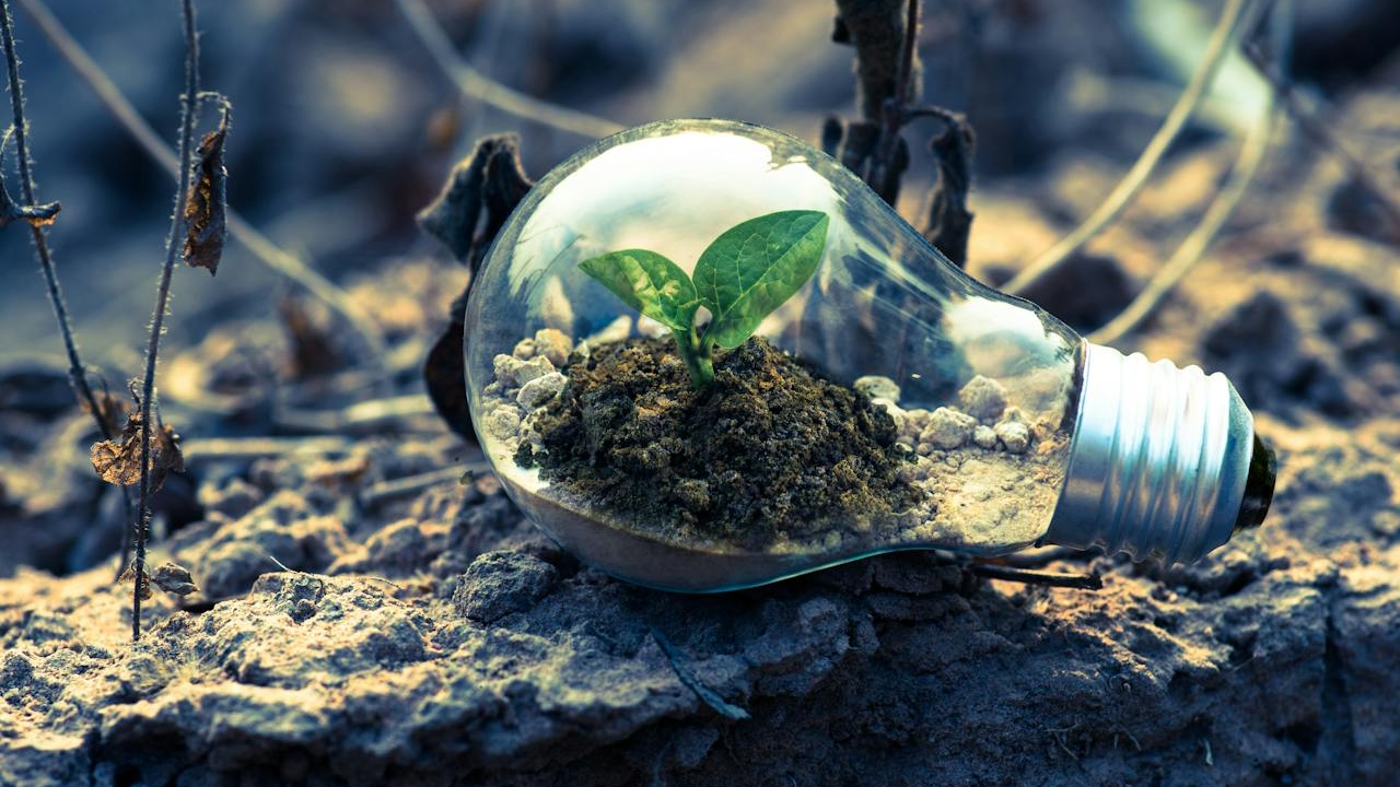 Medioambiente
