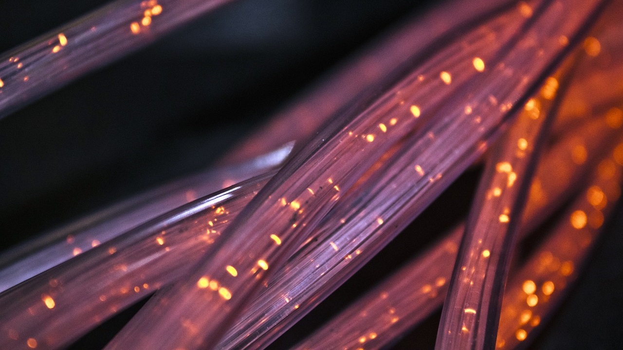 fiber