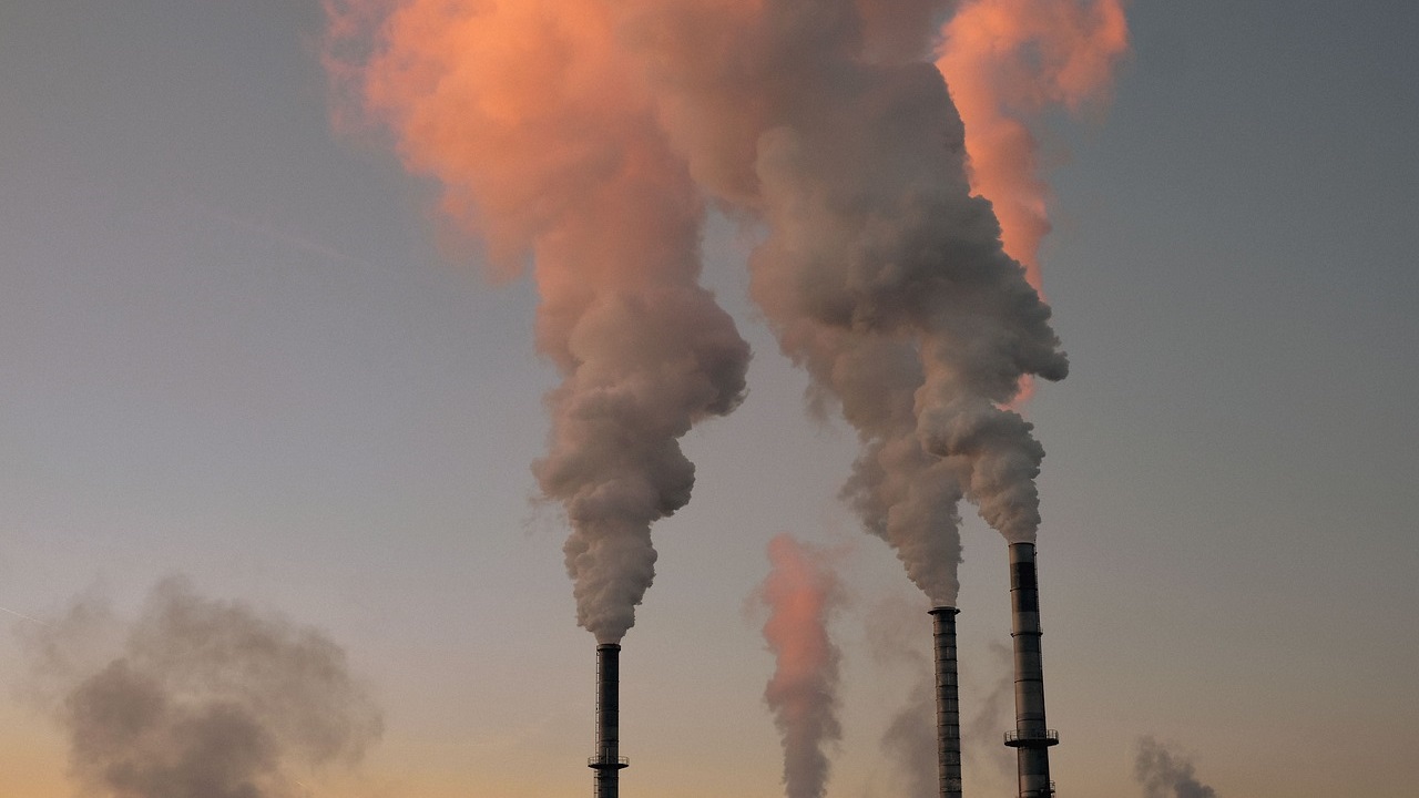 environment